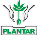 Plantar Siderúrgica — Grupo Plantar